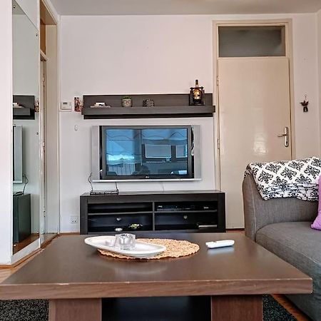 Spacious Condo Near Bascarsija - Free Parking SJJ Exterior foto